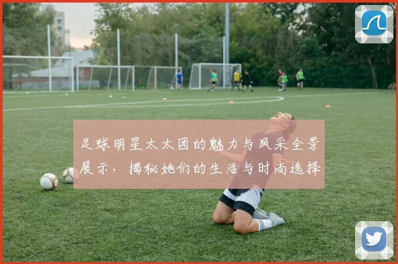 足球明星太太团的魅力与风采全景展示，揭秘她们的生活与时尚选择