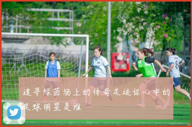 追寻绿茵场上的传奇足迹你心中的足球明星是谁