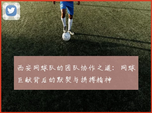 西安网球队的团队协作之道：网球巨献背后的默契与拼搏精神