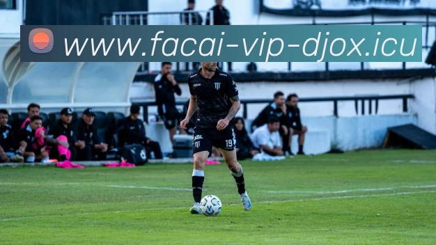 App Interface Preview