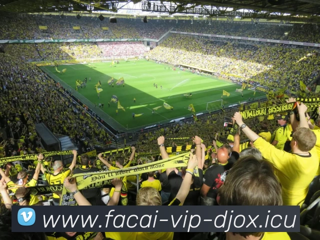 爱游戏体育注册APP 封面图